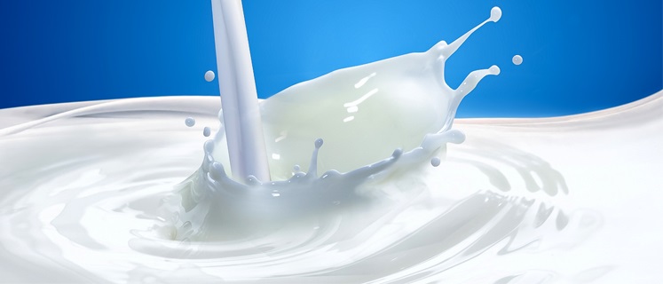 В Чехии растет производство молока