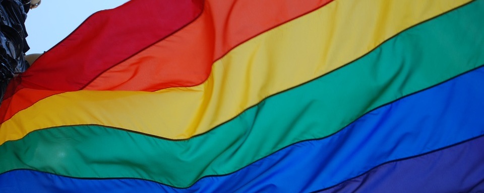 В Чехии ожидают разрешения на однополые браки