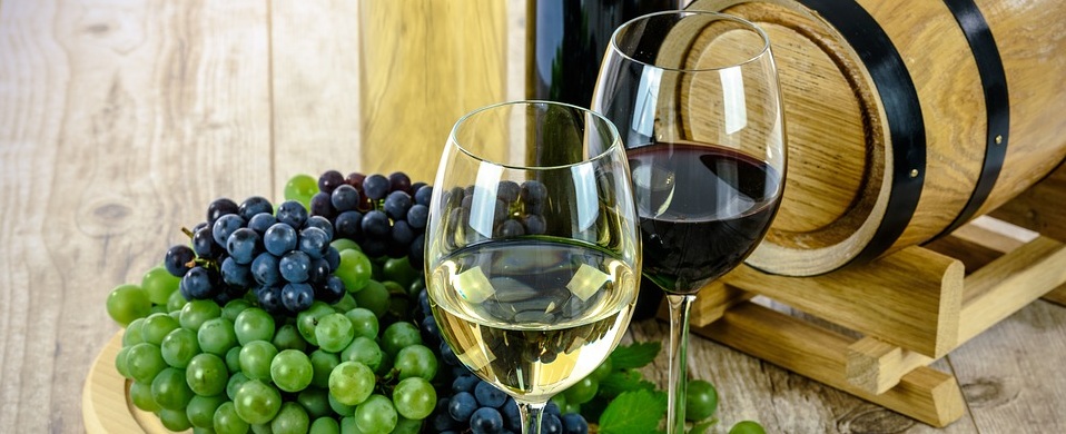 В Чехии отбирают Святомартинские вина