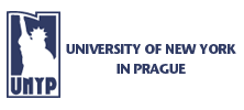 Нью-Йоркский университет в Чехии