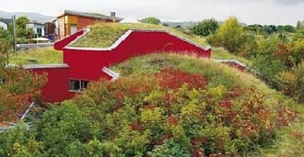 O том, что в Германии многие крыши покрыты зелеными насаждениями, свидетельствует экологический поселок в Касселе, построенный в 1983 г. Его жители вполне удовлетворены отсутствием затрат на содержание экстенсивного кровельного покрытия