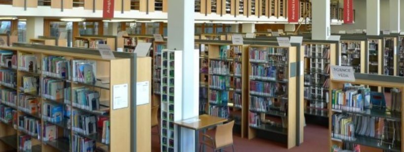 В Чехии создадут общий поисковый сайт для всех библиотек